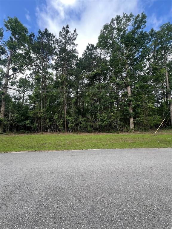 319 Lost Lake Trail, Livingston, Texas image 7