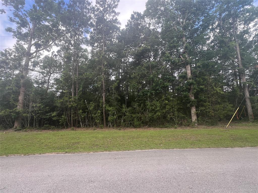319 Lost Lake Trail, Livingston, Texas image 1