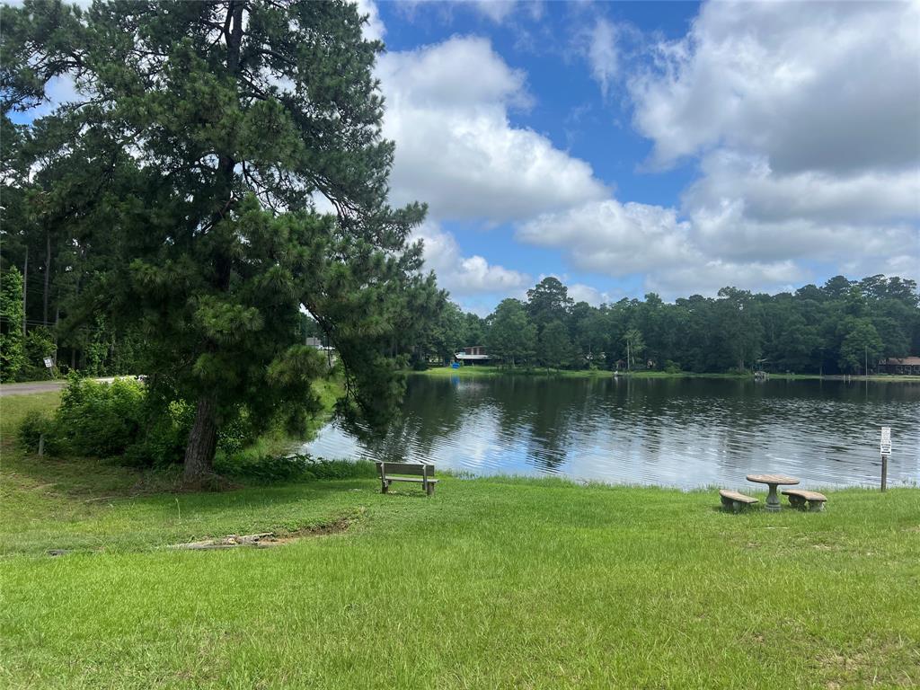 319 Lost Lake Trail, Livingston, Texas image 5