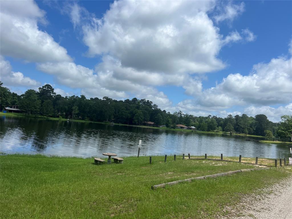 319 Lost Lake Trail, Livingston, Texas image 6