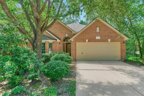 51 S Crossed Birch Place The Woodlands TX 77381