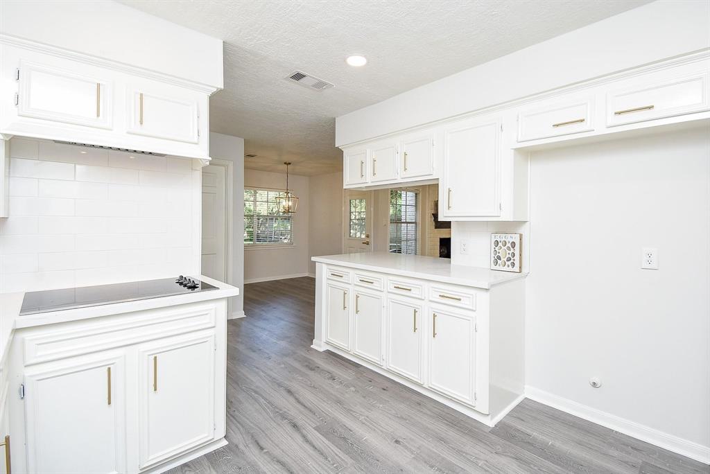 18102 Partridge Green Court, Houston, Texas image 25