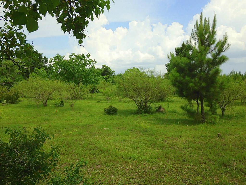 Hwy 90 Off, Crosby, Texas image 4