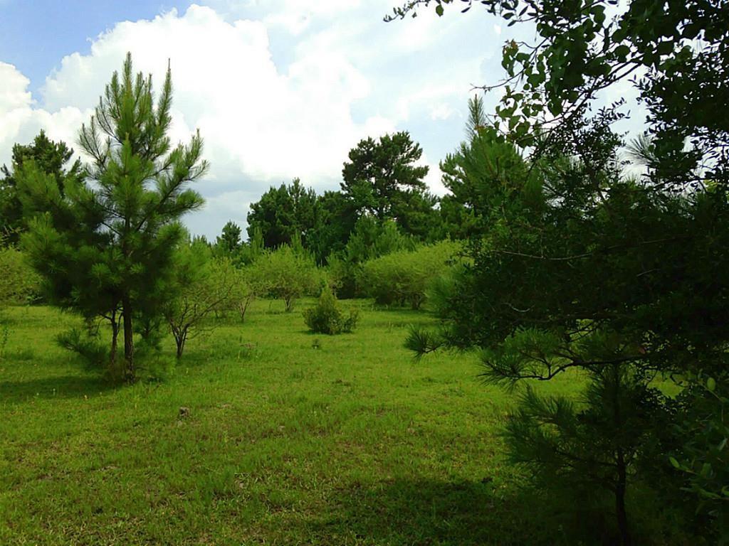 Hwy 90 Off, Crosby, Texas image 5