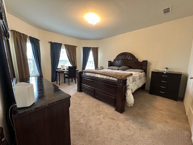 9722 Montana Sapphire Lane, Iowa Colony, Texas image 7