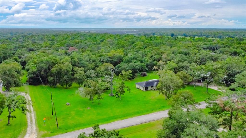 8444 Plantation Drive, West Columbia, Texas image 7