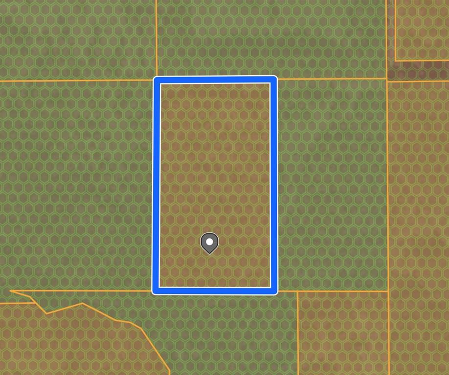 2401 W Geronimo Trl Trl, Cleveland, Texas image 3