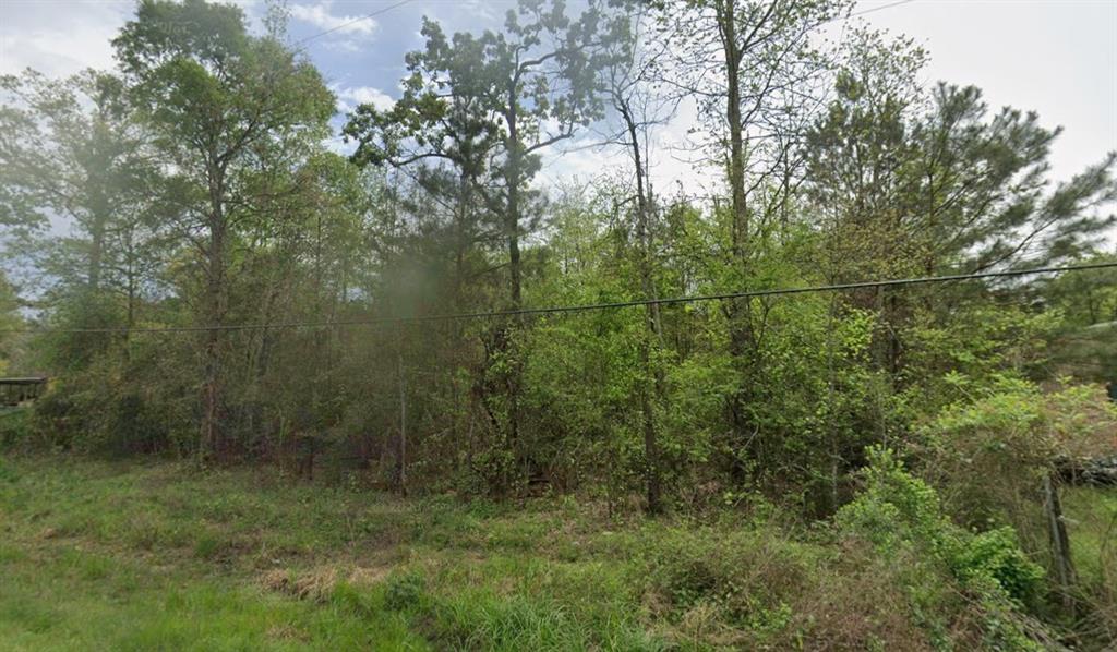 17632 Drowsy Pines, Conroe, Texas image 1