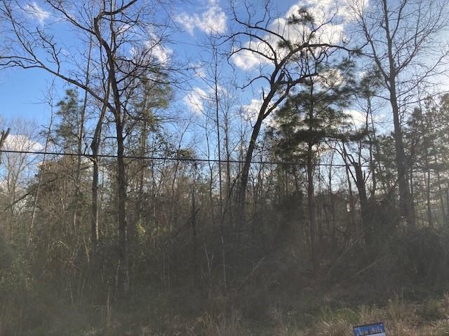17632 Drowsy Pines, Conroe, Texas image 5