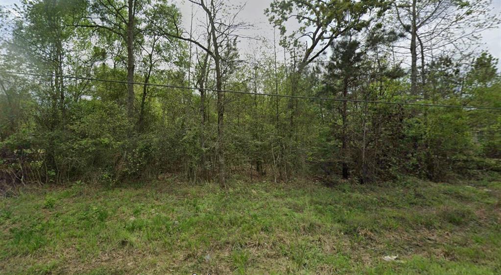 17632 Drowsy Pines, Conroe, Texas image 2
