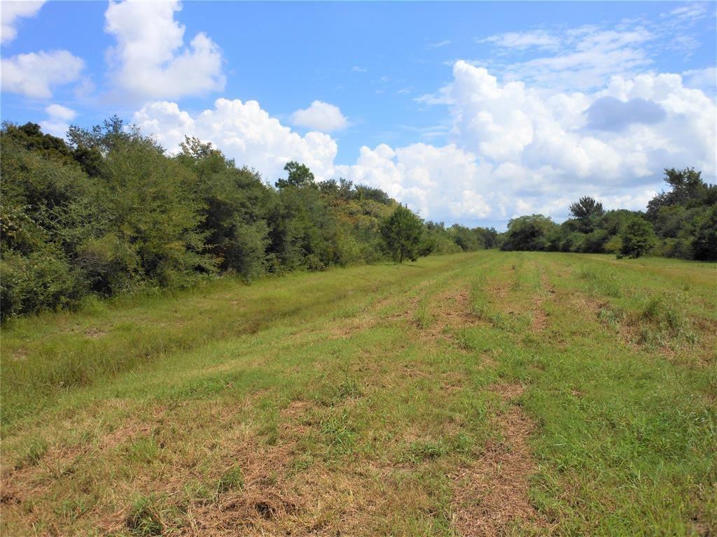 Fm 517, League City, Texas image 2