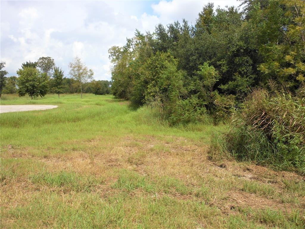 Fm 517, League City, Texas image 3