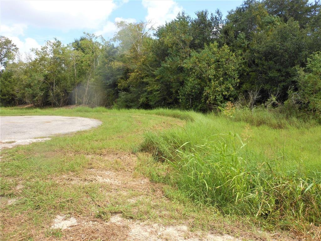 Fm 517, League City, Texas image 5