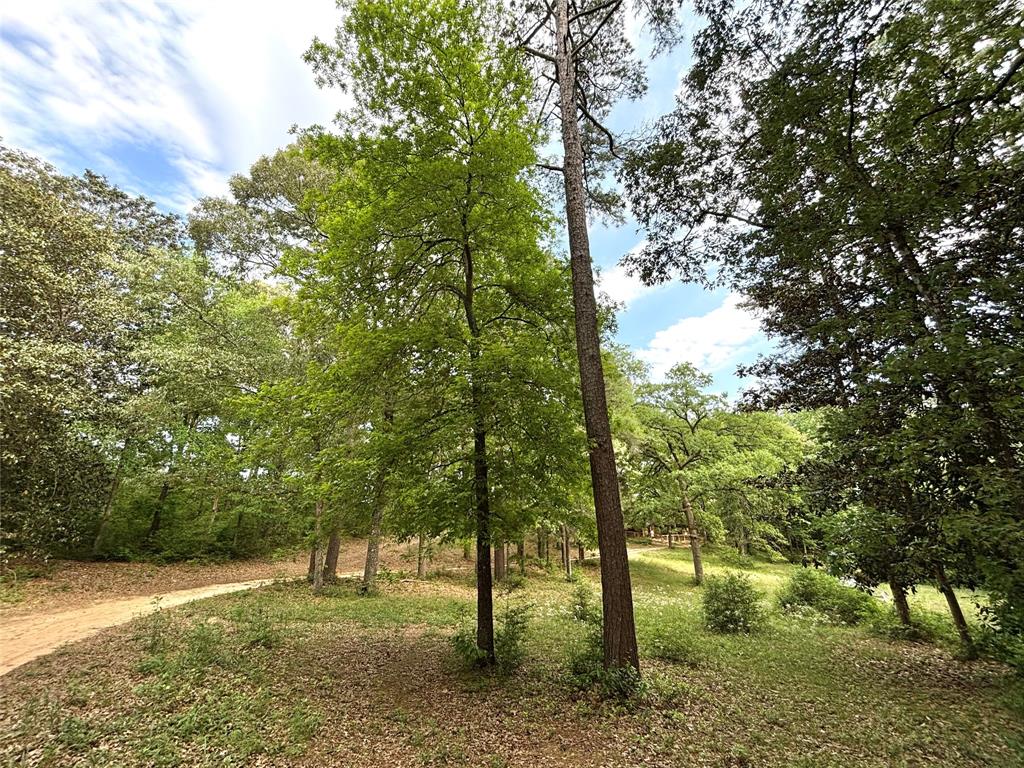 237 County Road 3523, Woodville, Texas image 1