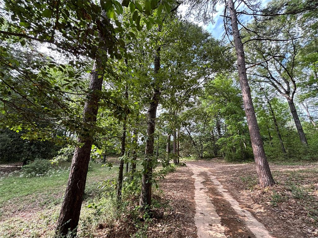 237 County Road 3523, Woodville, Texas image 42