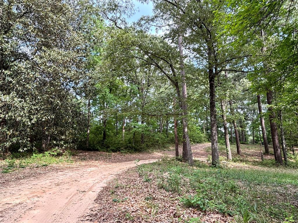 237 County Road 3523, Woodville, Texas image 2