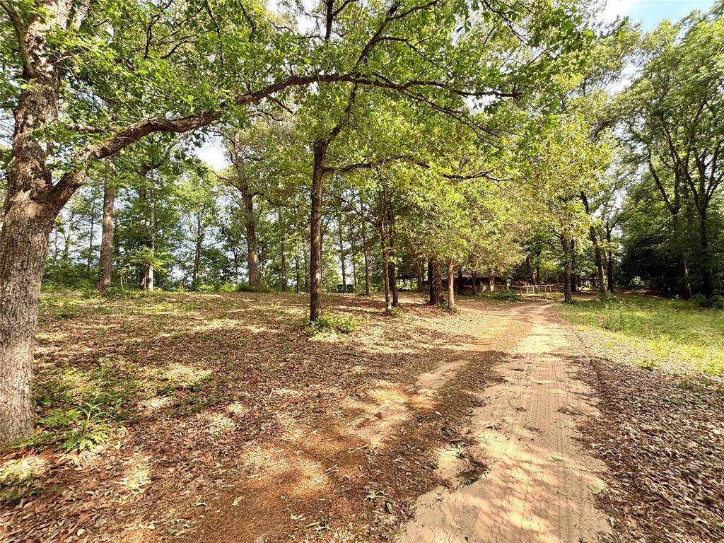 237 County Road 3523, Woodville, Texas image 4