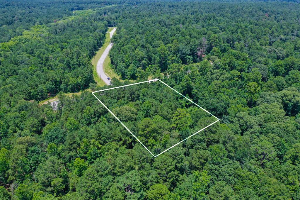 34-15 Sandstone Lane, Huntsville, Texas image 10
