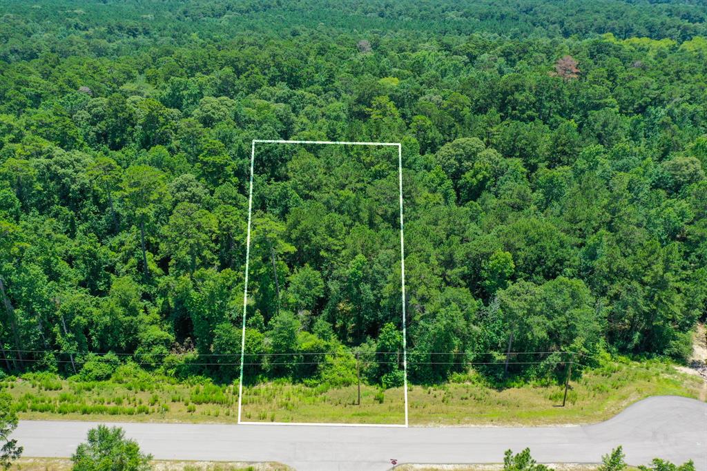 34-15 Sandstone Lane, Huntsville, Texas image 9