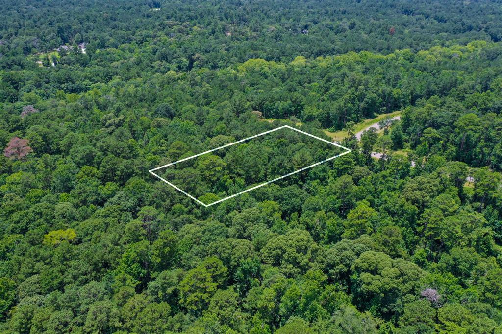 34-15 Sandstone Lane, Huntsville, Texas image 6