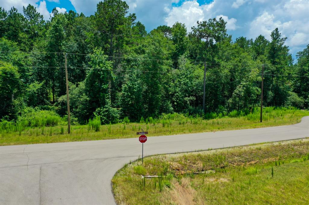34-15 Sandstone Lane, Huntsville, Texas image 8