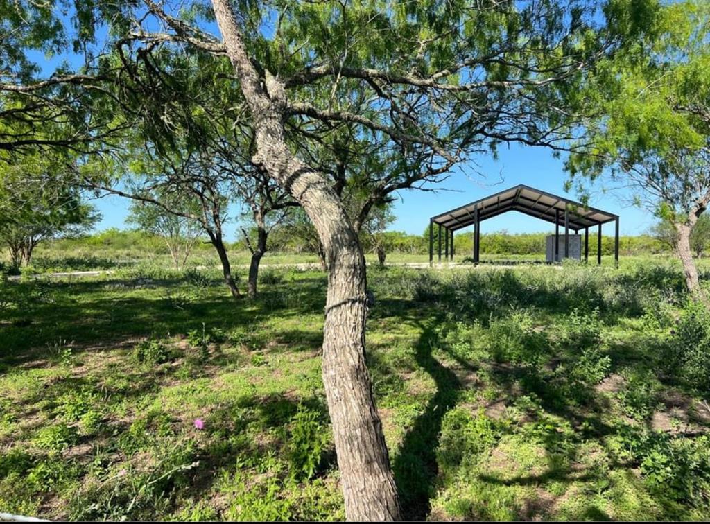 141 County Road 3084, Orange Grove, Texas image 3