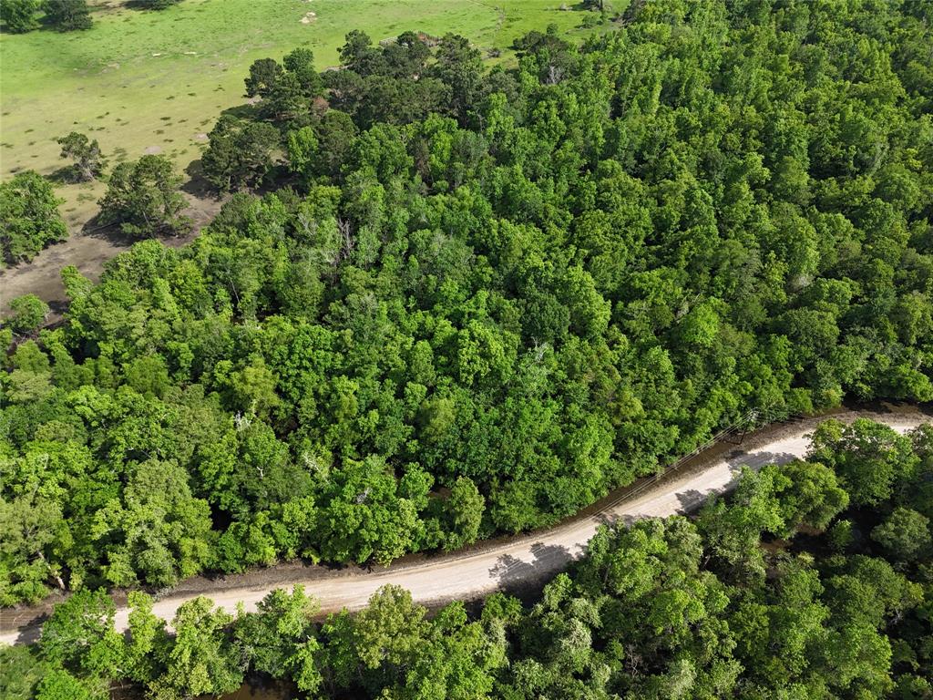 TBD County Road 149, Liberty, Texas image 3