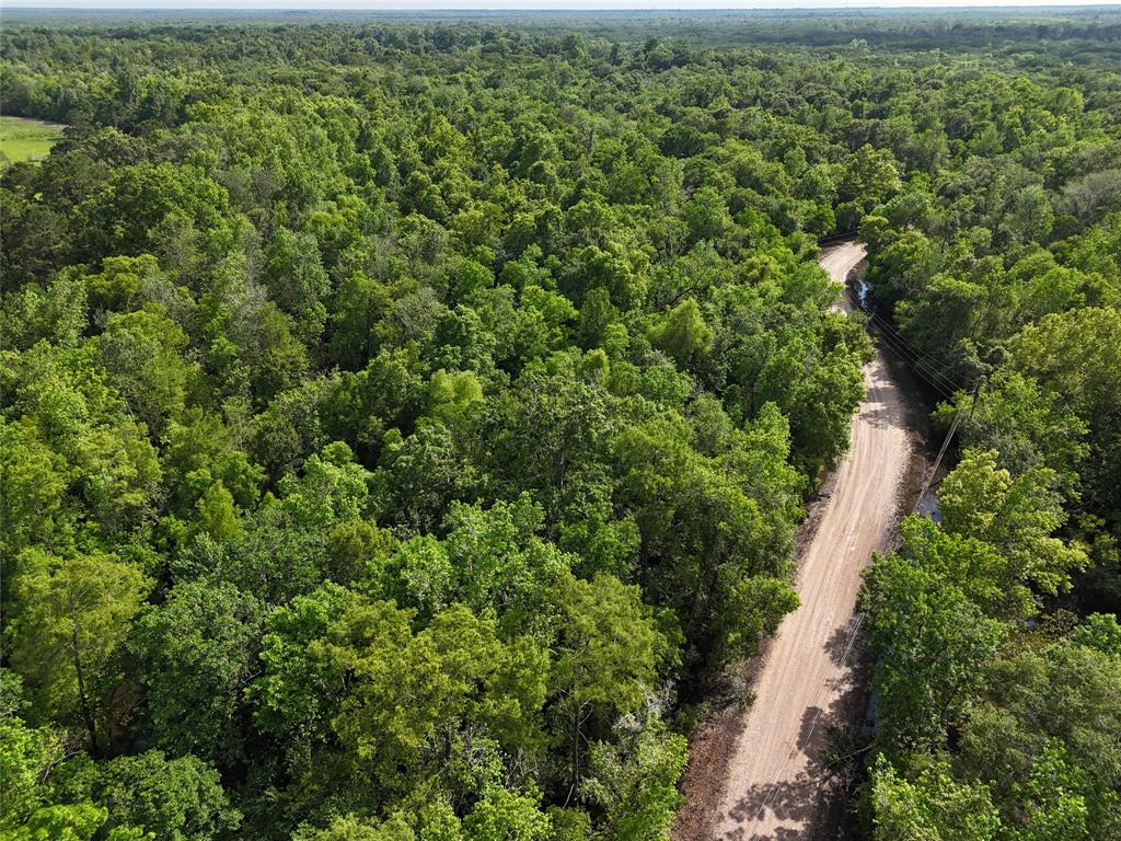 TBD County Road 149, Liberty, Texas image 2