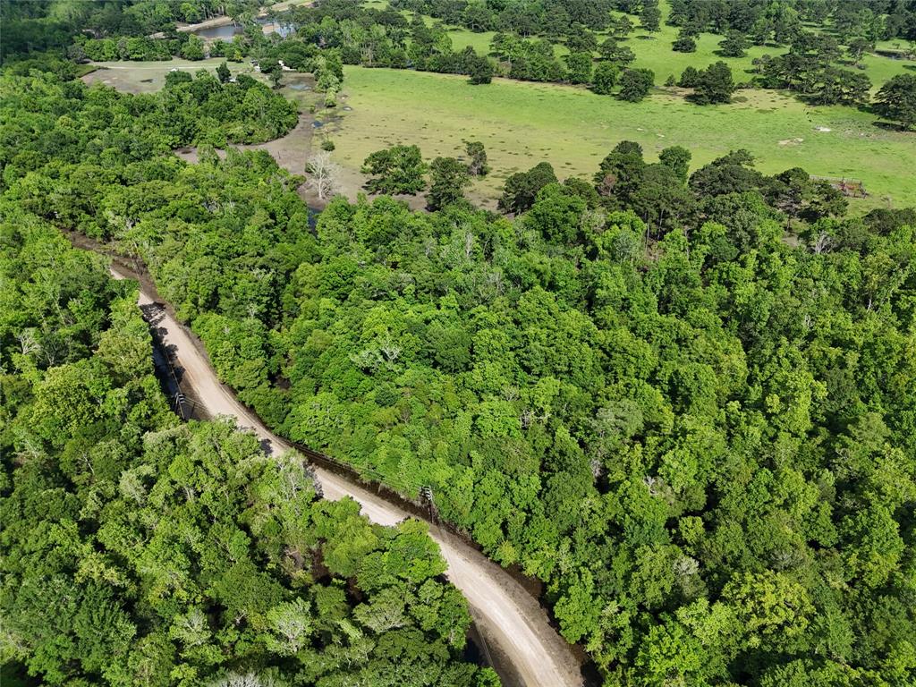 TBD County Road 149, Liberty, Texas image 1