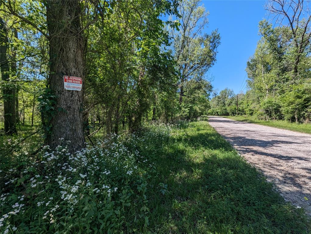 TBD County Road 149, Liberty, Texas image 6