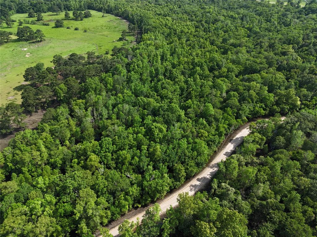 TBD County Road 149, Liberty, Texas image 4