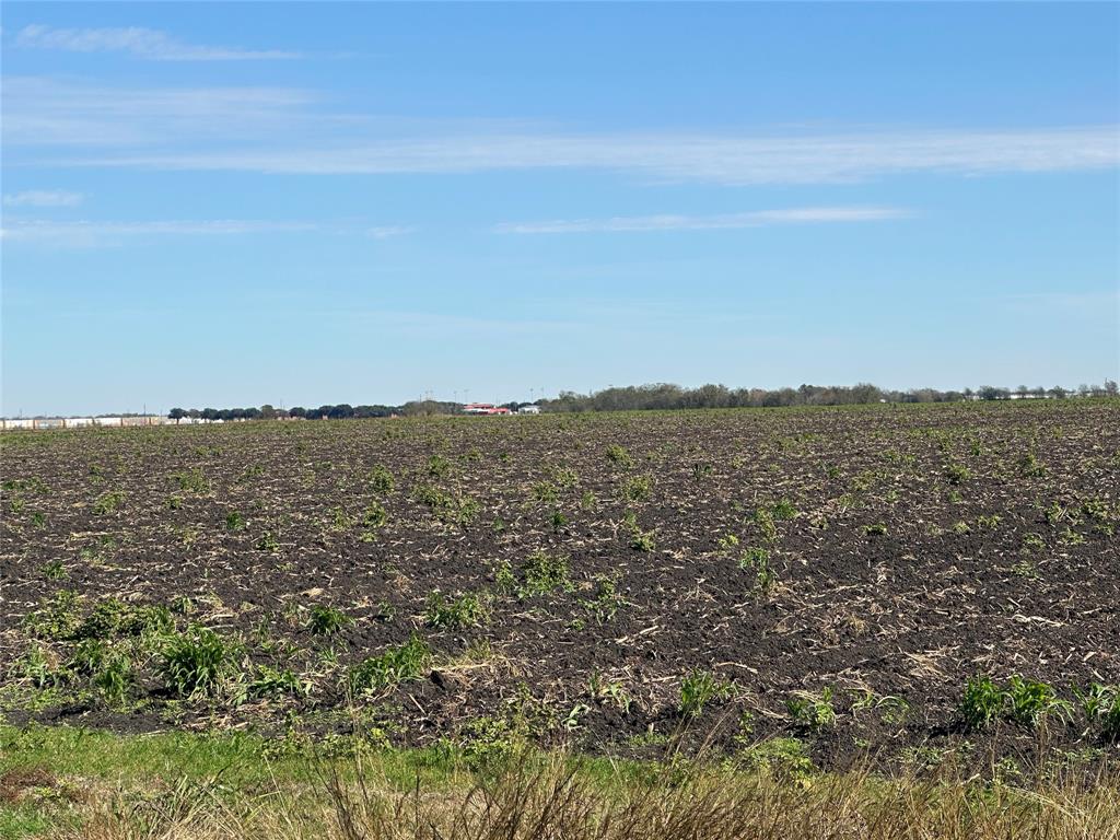 TBD Fm-1952, Wallis, Texas image 3