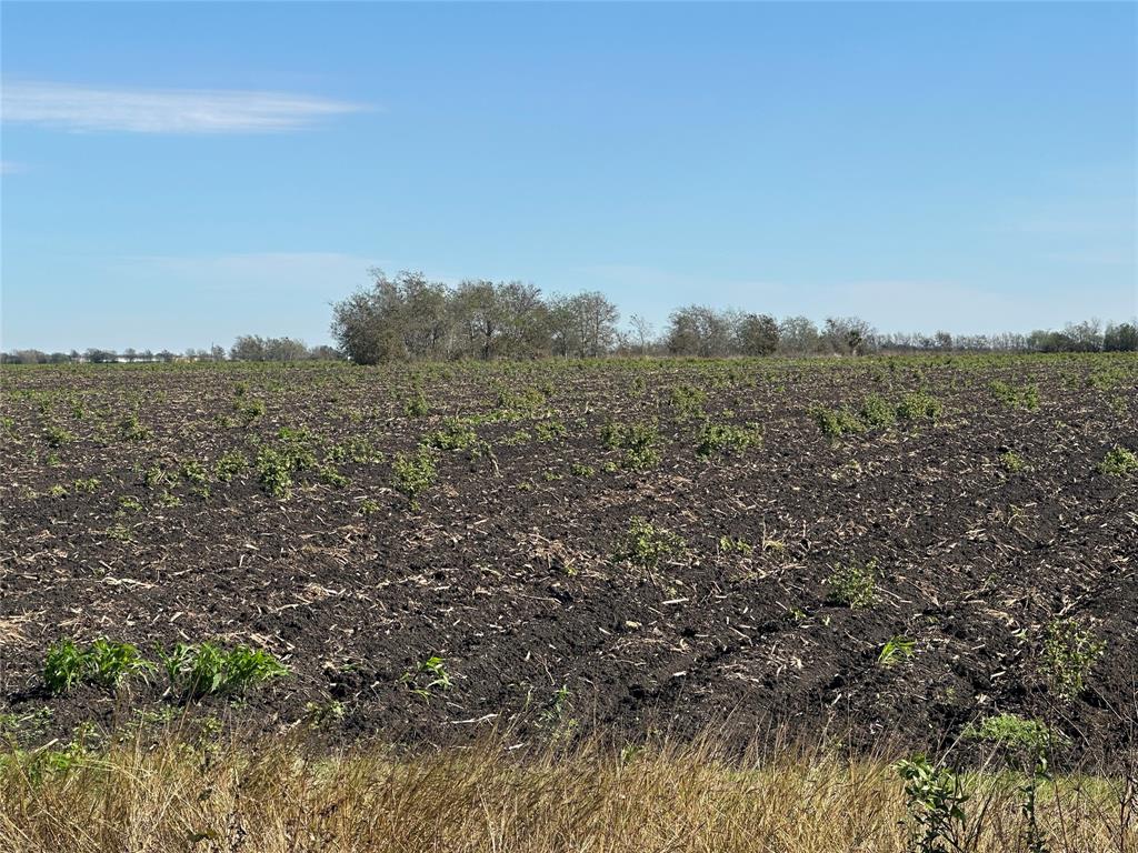 TBD Fm-1952, Wallis, Texas image 6