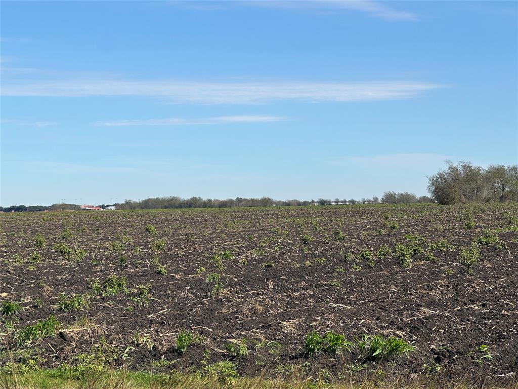 TBD Fm-1952, Wallis, Texas image 4