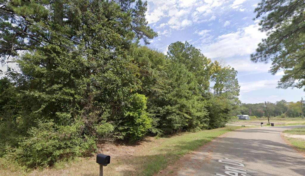 TBD Allen Drive, Conroe, Texas image 2