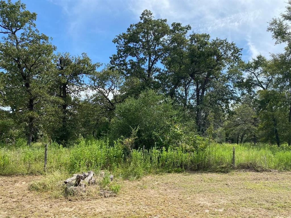 1108 Cr 1463, Centerville, Texas image 2