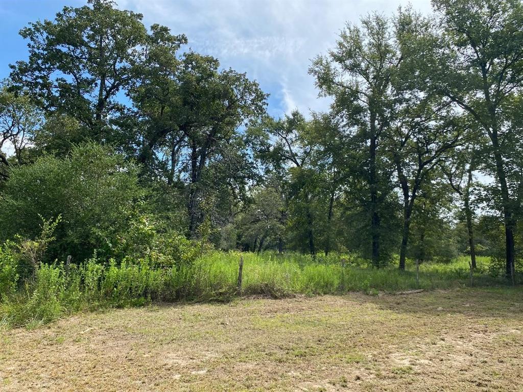 1108 Cr 1463, Centerville, Texas image 12