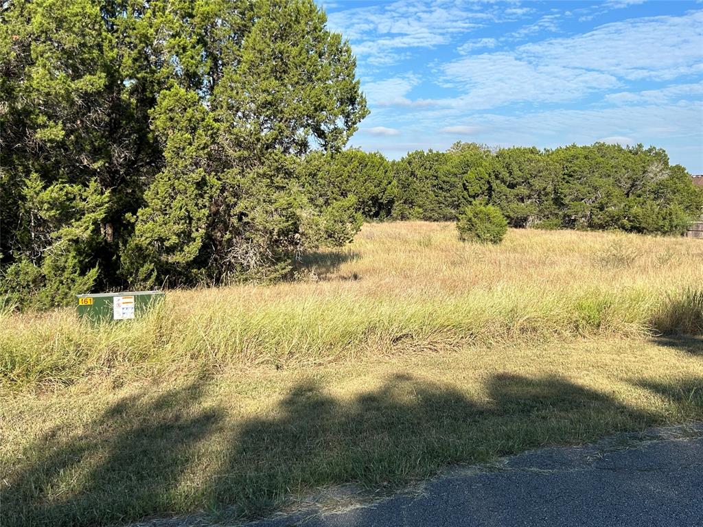 66 Horseshoe Trail, New Braunfels, Texas image 3