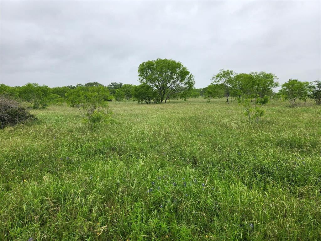 2929 County Road 138, Hallettsville, Texas image 31