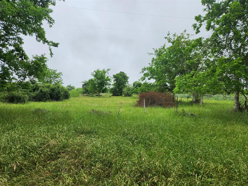 2929 County Road 138, Hallettsville, Texas image 39