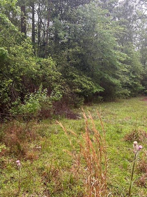 Photo of 0 Camilla Drive, Brookeland, TX 75931 (MLS # 24829421)