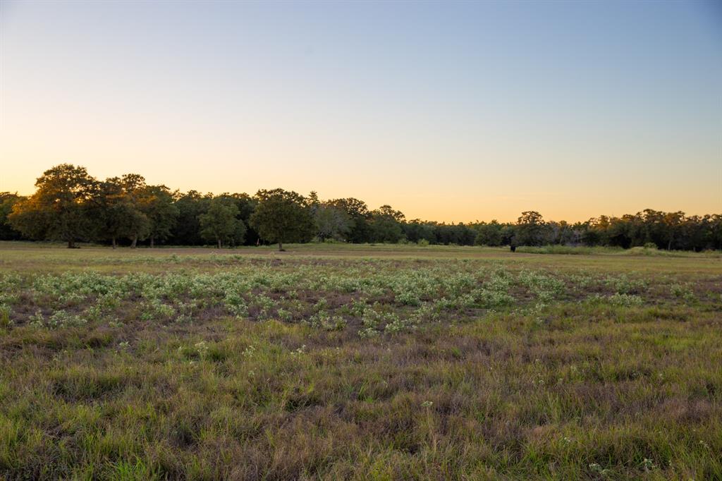 TBD Cummins Creek Road, New Ulm, Texas image 8