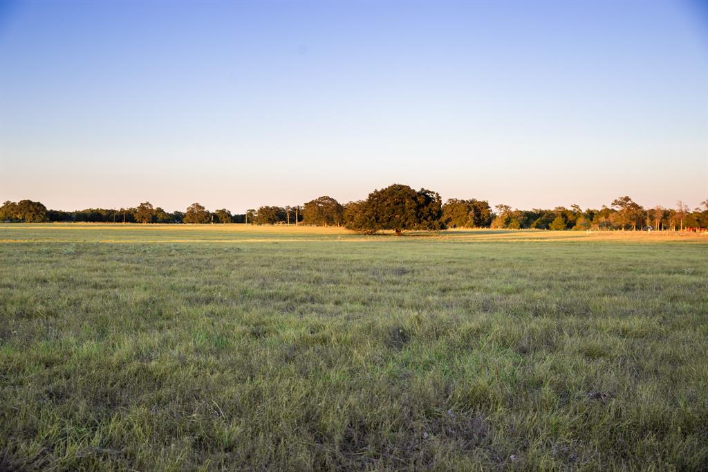 TBD Cummins Creek Road, New Ulm, Texas image 9