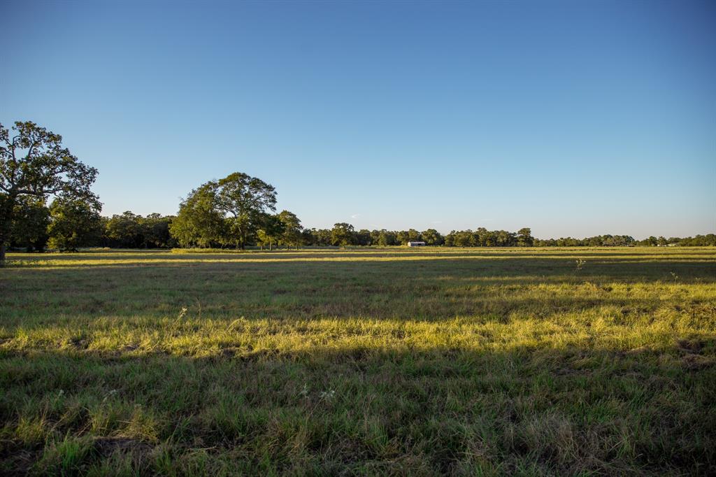 TBD Cummins Creek Road, New Ulm, Texas image 6