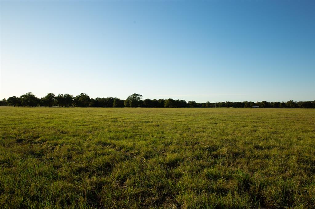 TBD Cummins Creek Road, New Ulm, Texas image 4