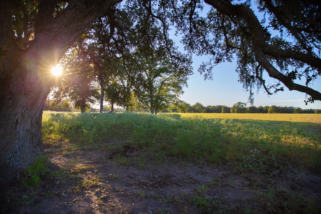 TBD Cummins Creek Road, New Ulm, Texas image 2