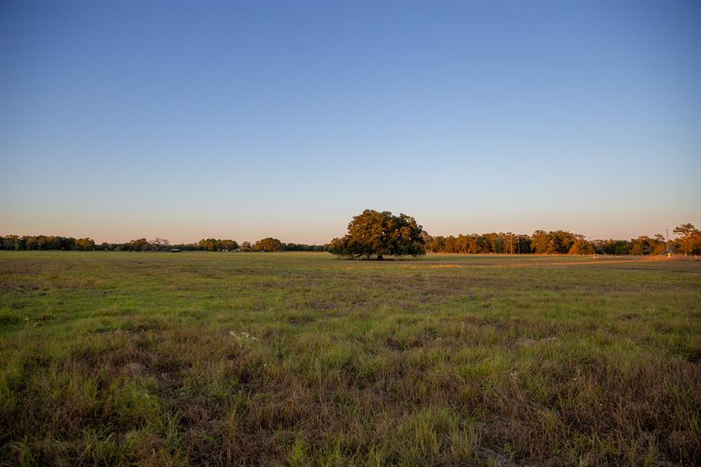 TBD Cummins Creek Road, New Ulm, Texas image 10