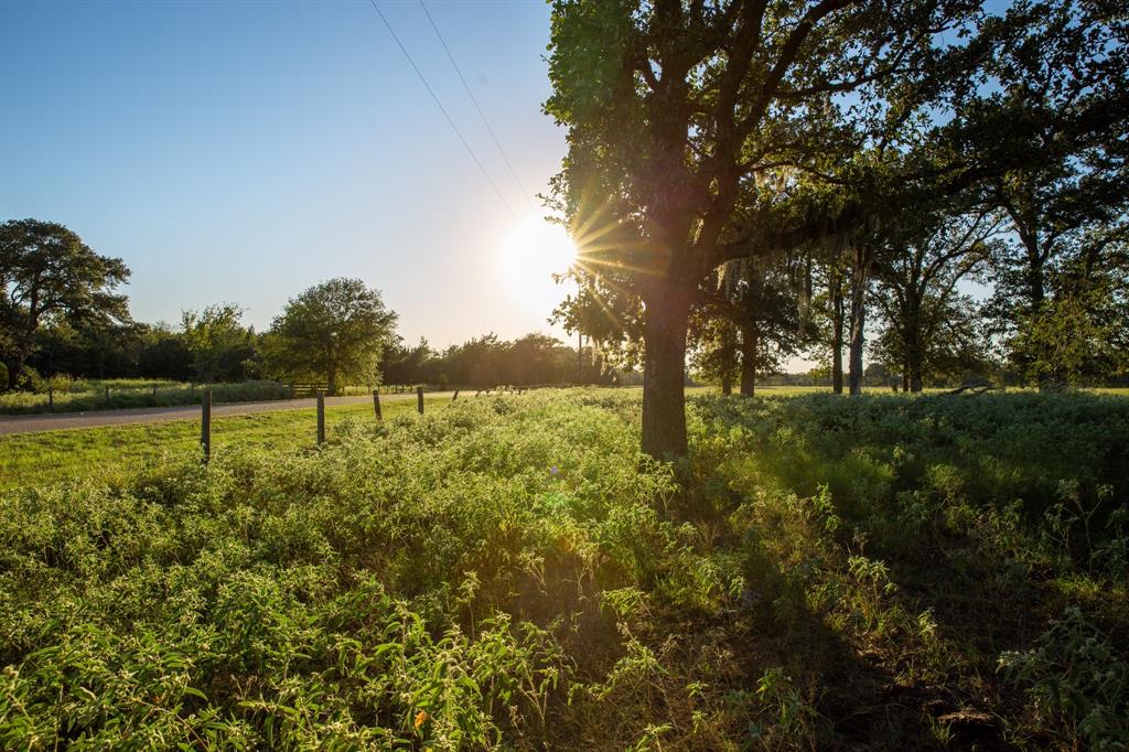 TBD Cummins Creek Road, New Ulm, Texas image 1