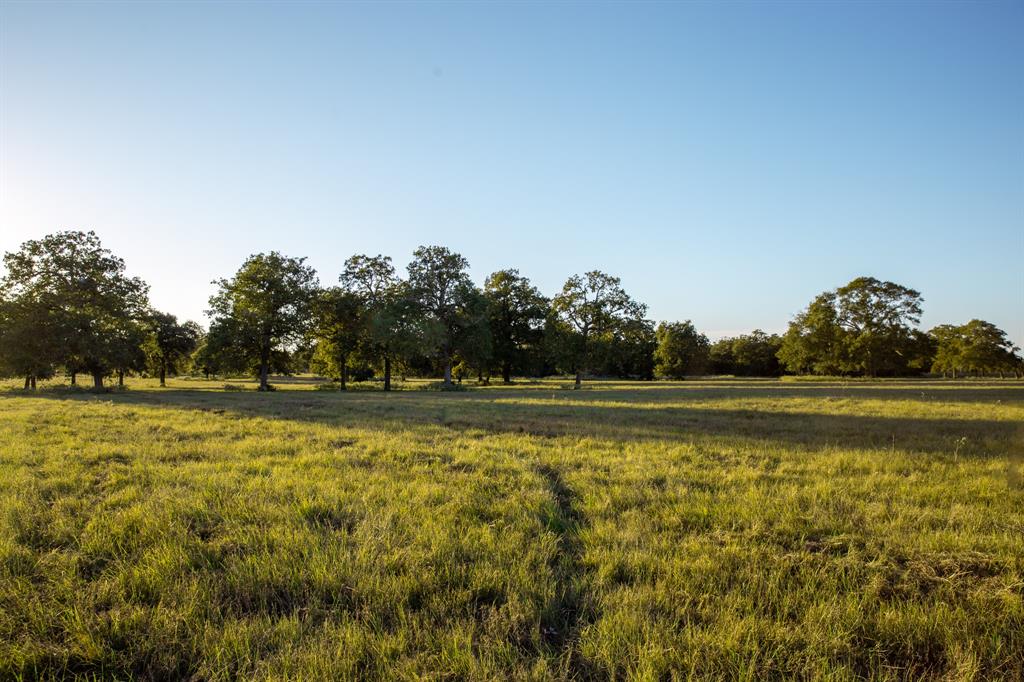 TBD Cummins Creek Road, New Ulm, Texas image 5