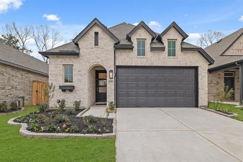 7478 Cattail Falls Lane, Porter, TX 77365 - #: 74536850
